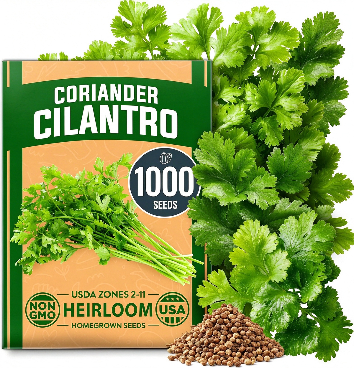 1000 Cilantro Grain for Planting, Fresh Green Herb Leaves