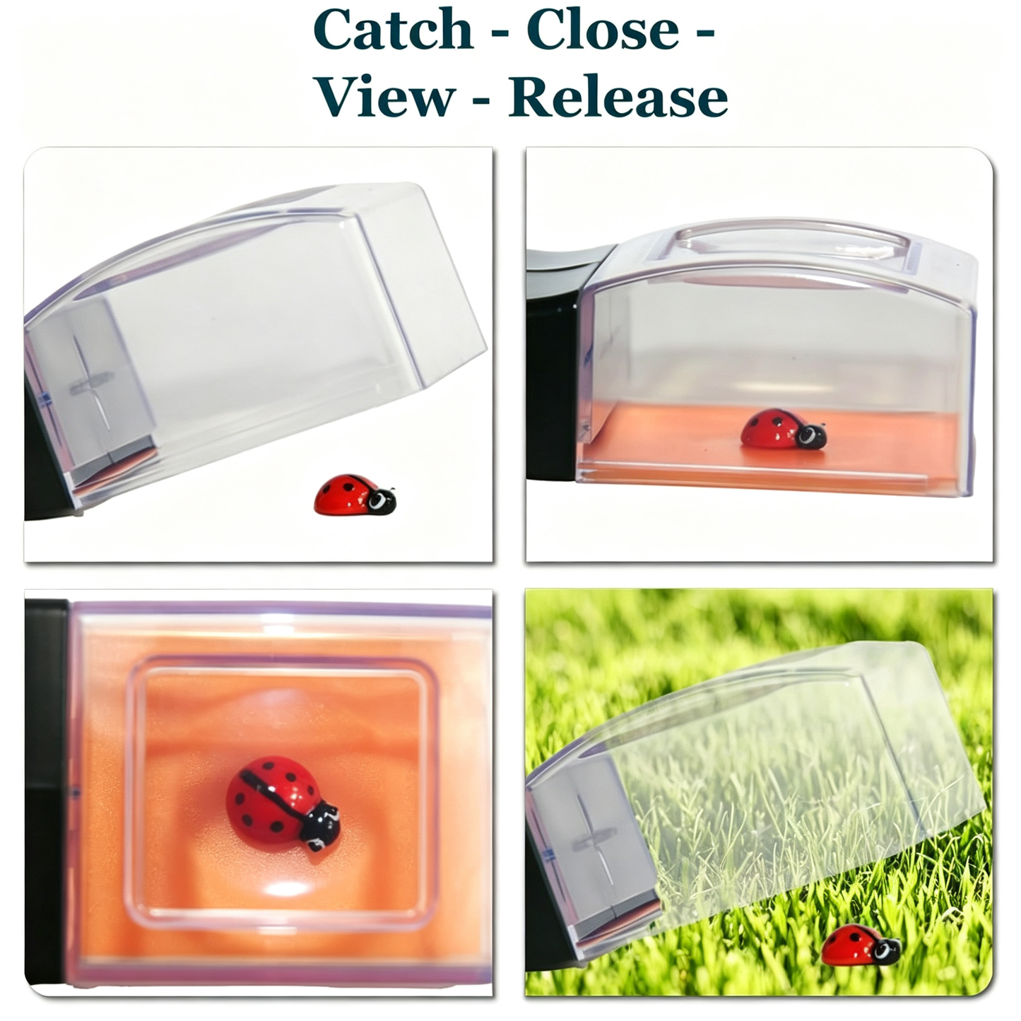 Quick Catch-Observe-Release 5X Magnifying Glass Quick-Release Bug Catcher Tool