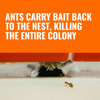 Ant Killer Bait Stations- Liquid Bait 8 Count Stations for Effective Indoor Ant Control